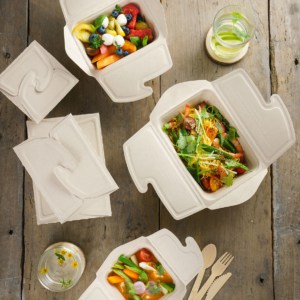 Suikerriet meal box to go assortiment Sabert