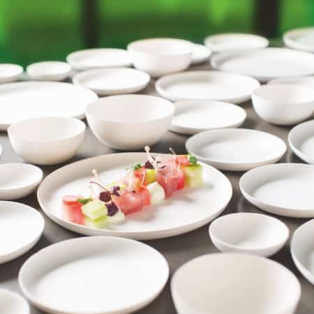 Wegwerp servies