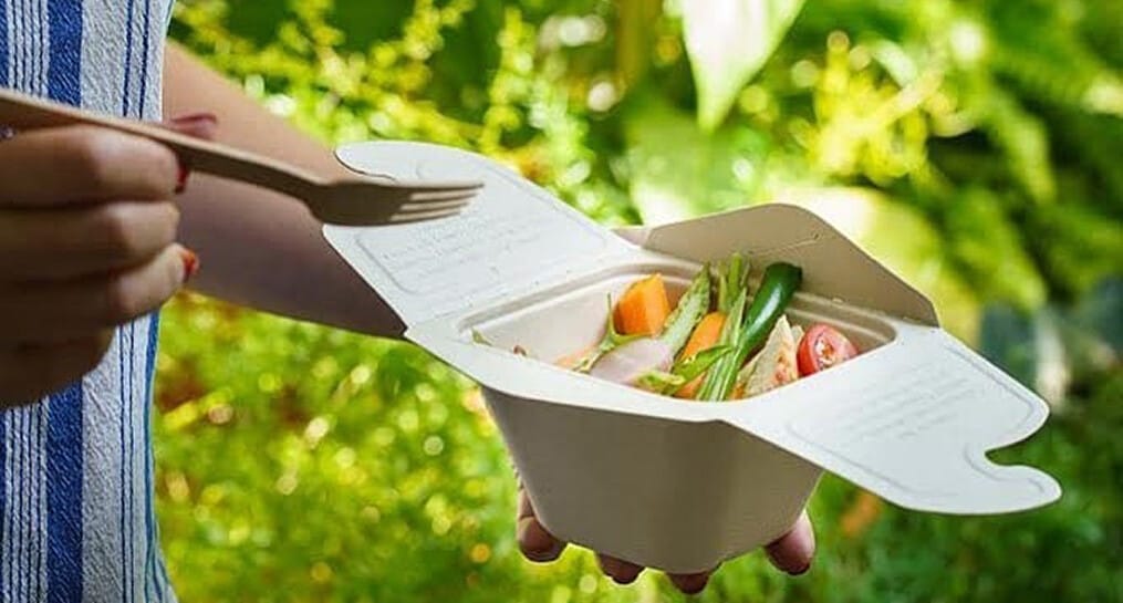 suikerriet menuboxen take away verpakkingen lunchbox maaltijdbox biologisch afbreekbaar